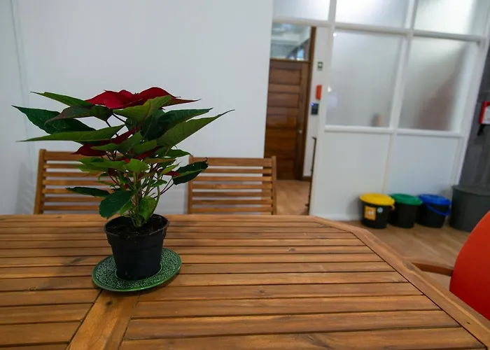 Change The World - - Santa Catarina * Porto